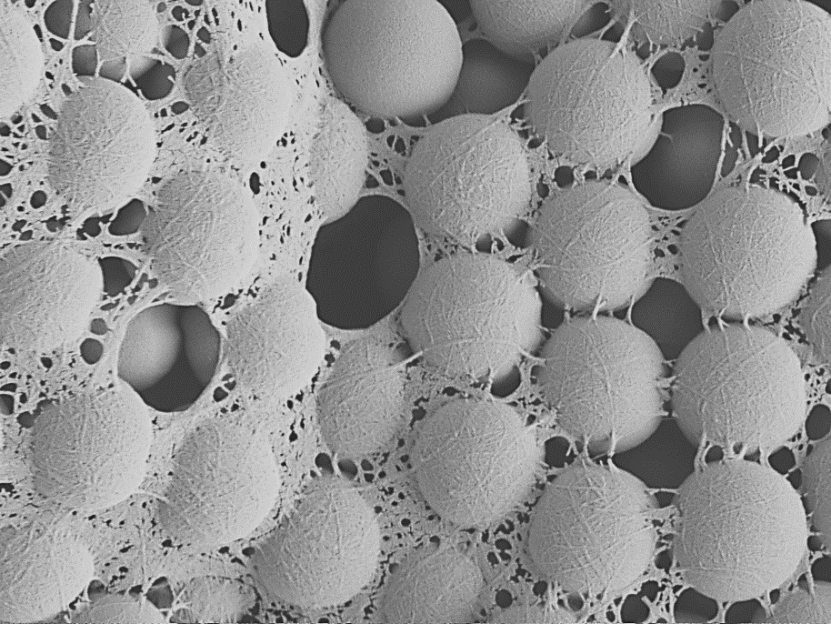 A scanning electron micrograph shows a fishnet structure formed by nanocellulose that has bound 1.15 micrometers silica particles together. Photo: Bruno Mattos / Aalto University
