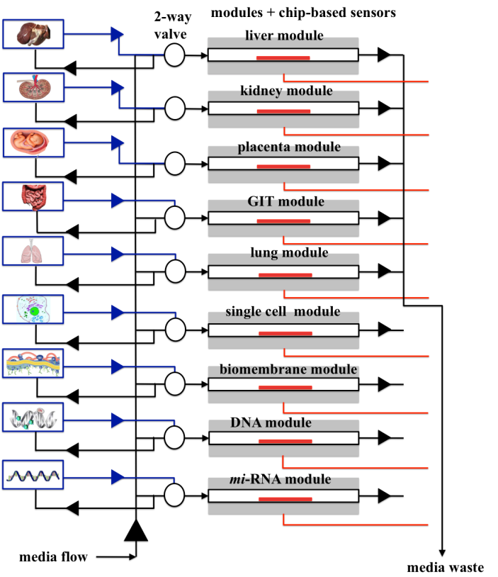 Schematic representation of a modular automated configuration of a HISENTS testing platform. Image: HISENTS Project