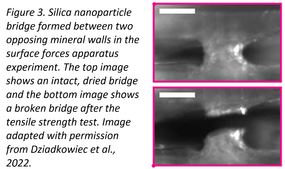 silica nanoparticle bridge
