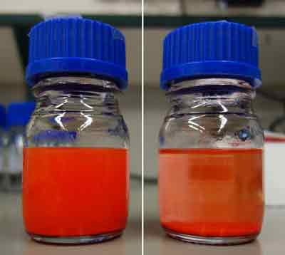 Two parallel images of a laboratory bottle